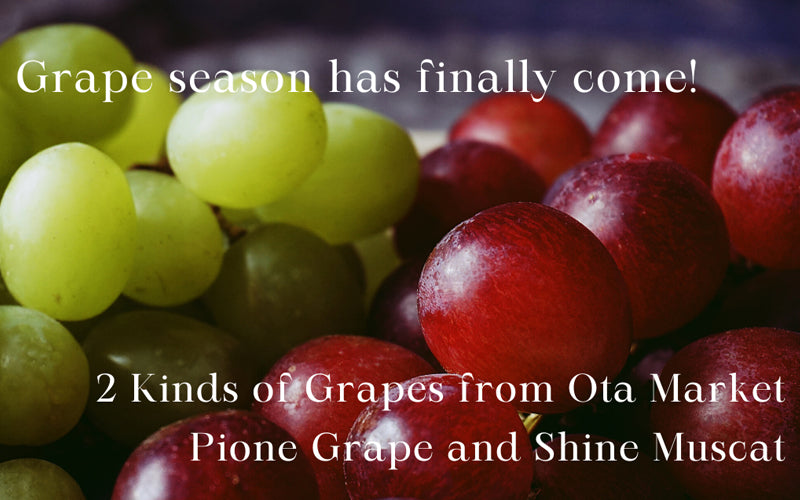 Grape season has finally come!