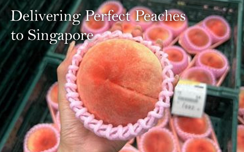 The Finest Peaches Upon Arrival in Singapore