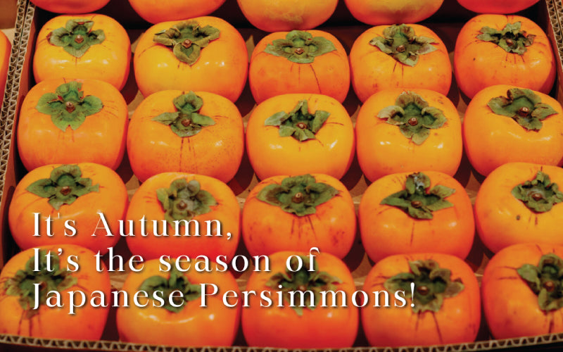 It’s the season of Japanese Persimmons!