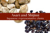 [New] Asari and Shijimi, Japanese representative clams