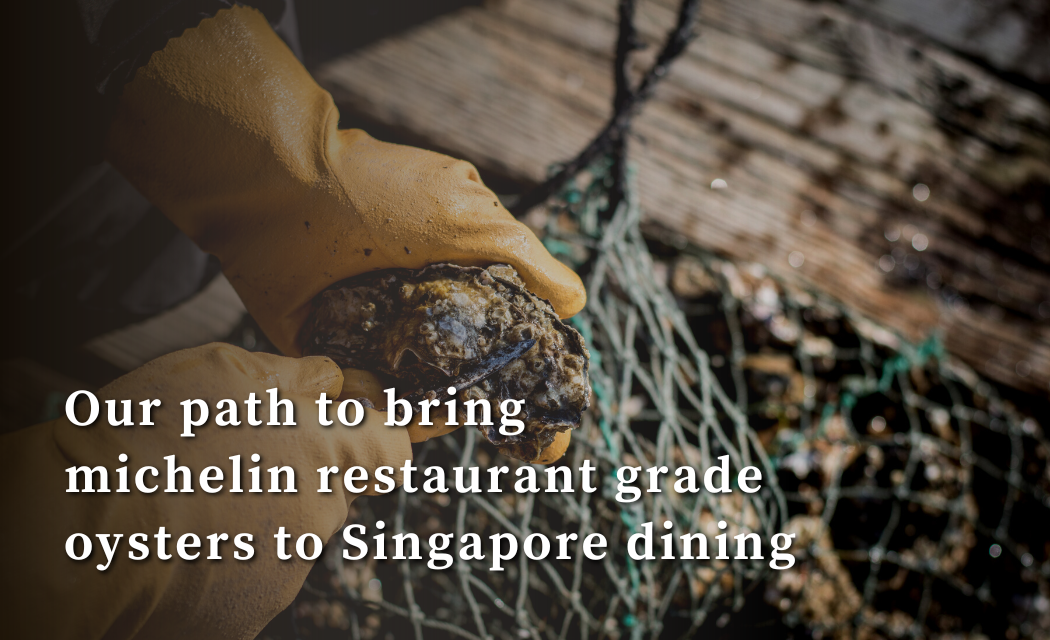 Michelin grade oyster to Singapore dining