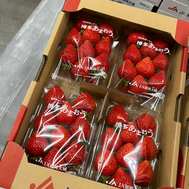 [Pre-Order] Japanese Strawberry 'AMAOU'  あまおう / 0.5 kg, 2 packs