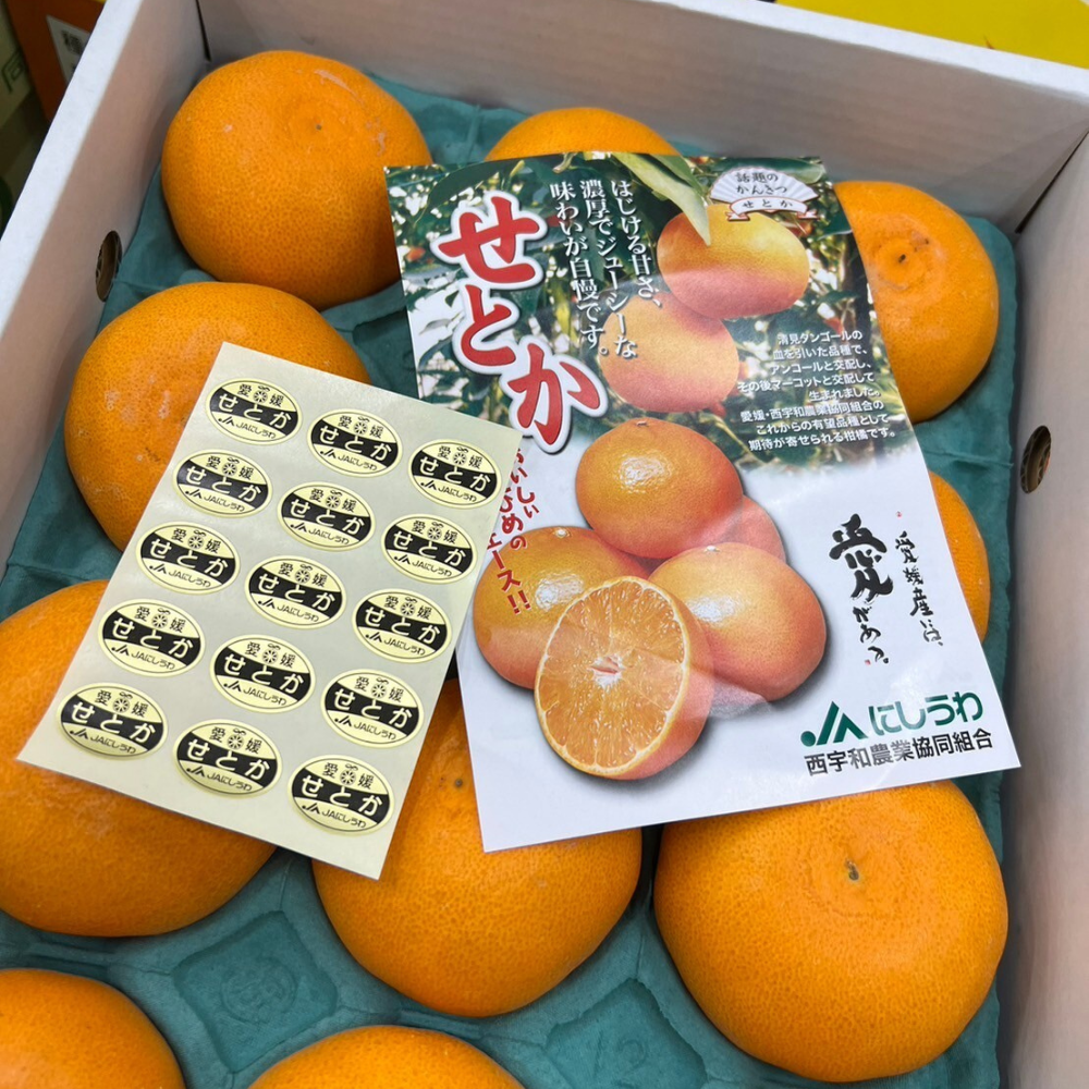 [Pre-Order] Japanese Mandarin Mikan 'SETOKA'  せとか / 3 kg, 8-12 pieces