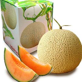 [Pre-Order] Red Meat Melon 赤肉メロン / 1.6kg, 1pc
